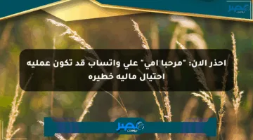 احذر الآن: “مرحبا أمي” على واتساب قد تكون عملية احتيال مالية خطيرة